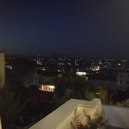 Villa Metaxa Spetses Town ภายนอก รูปภาพ