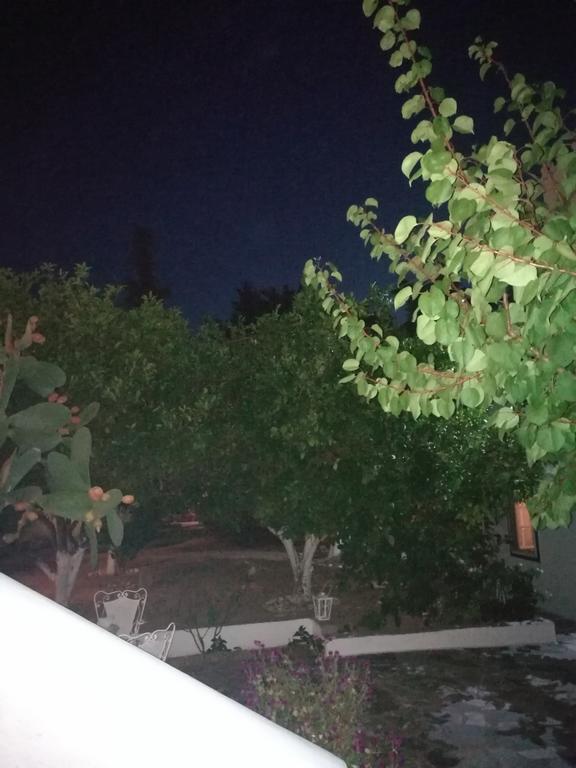 Villa Metaxa Spetses Town ภายนอก รูปภาพ